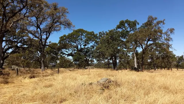 a view of snow covered with snow