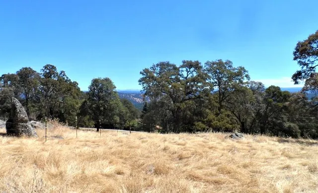 a view of a yard covered in snow