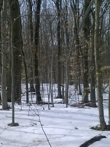 $60,000 | Suffield Street, Suffield, CT 06078