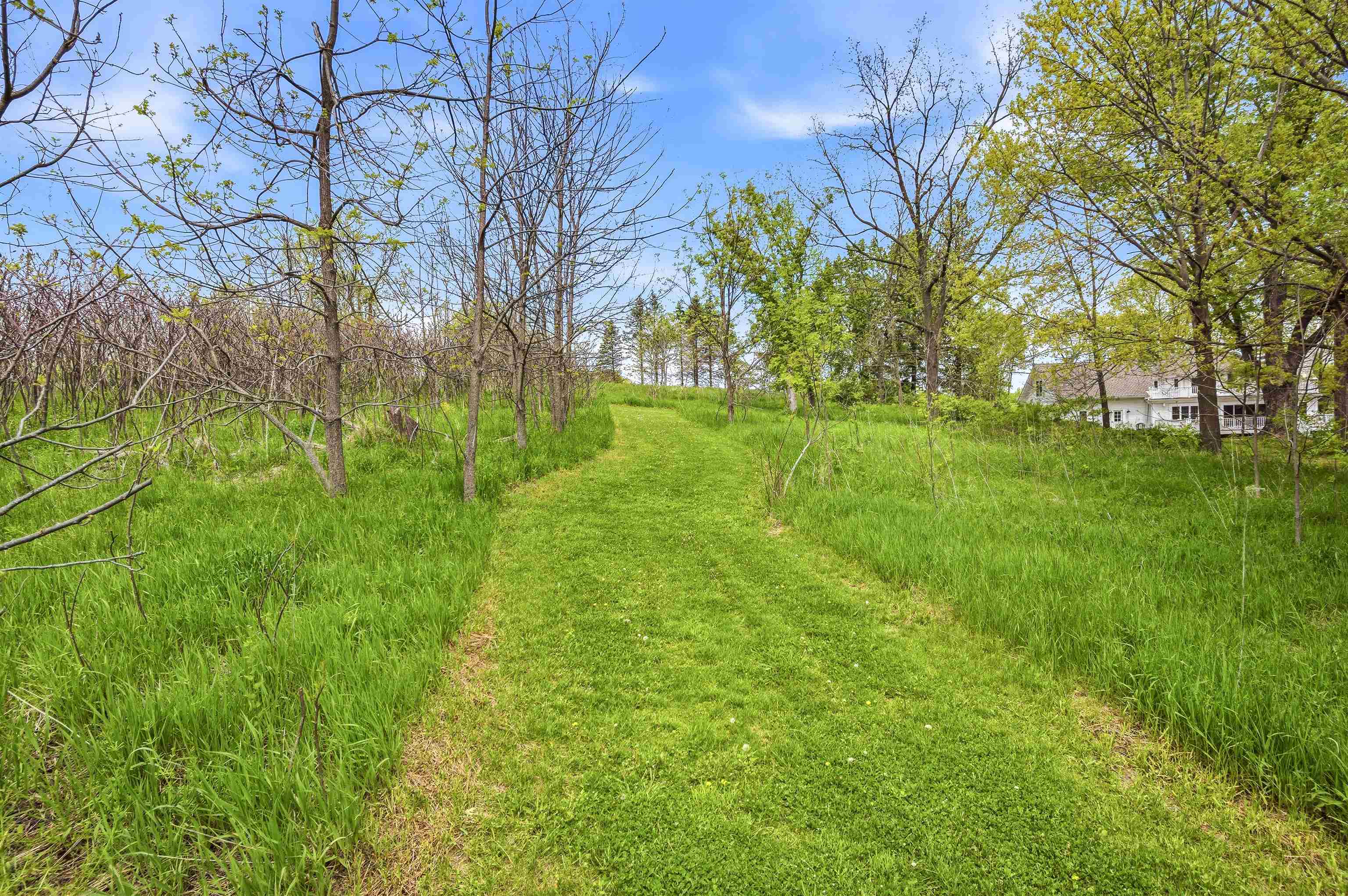 W10823 Port Reeseville Wi 53579 Reeseville, WI 53579 - Photo 66 of 69