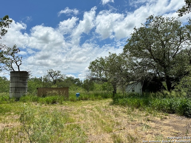 7527 Highway 16 Poteet, TX 78065 - Photo 4 of 15