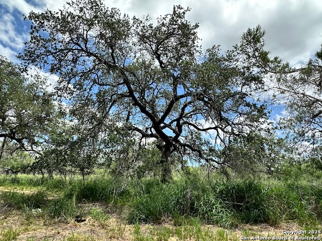 7527 Highway 16 Poteet, TX 78065 - Photo 9 of 15
