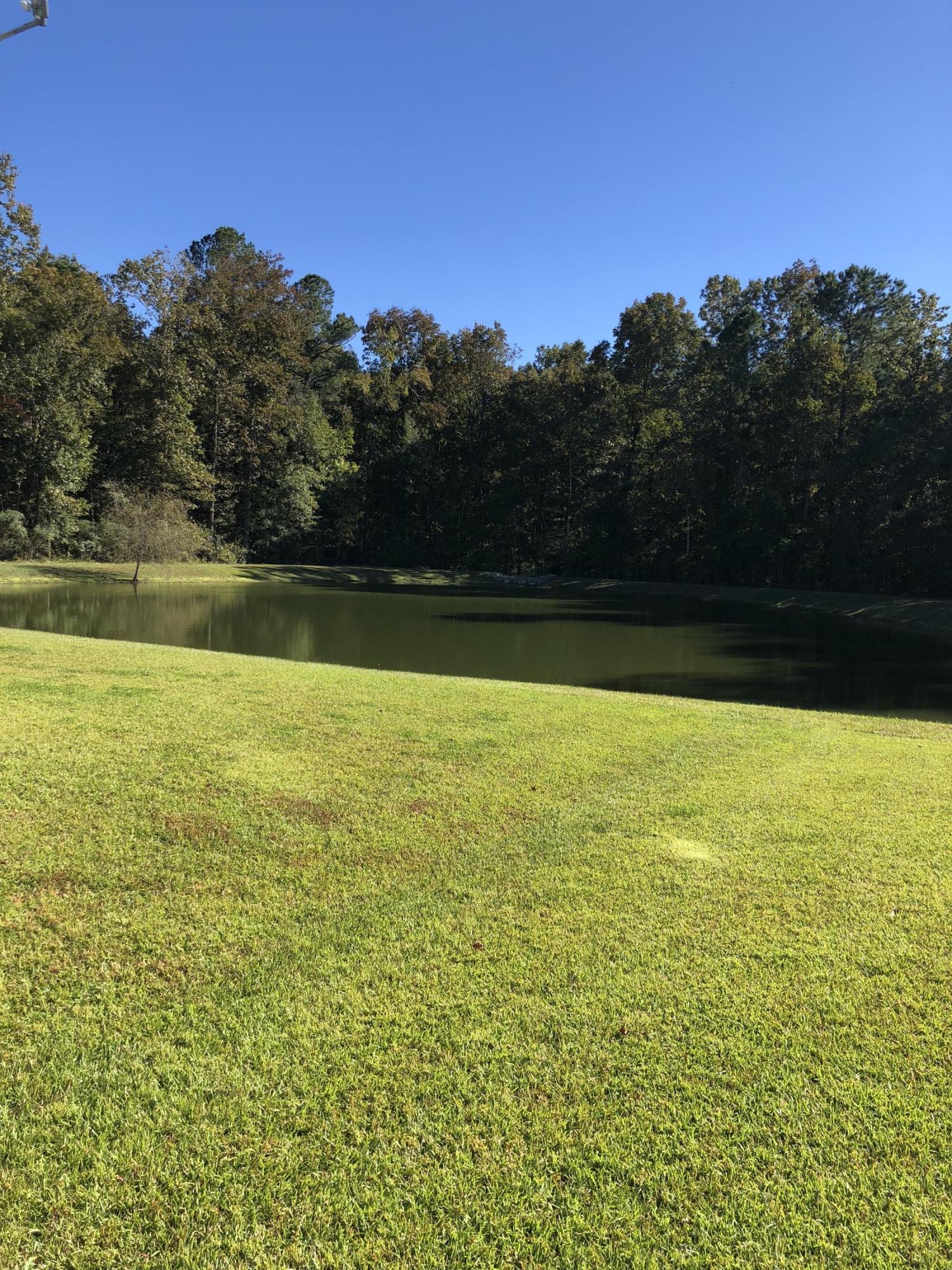 207 Island Green Road Goose Creek, SC 29445 - Photo 22 of 47 Photo Nov 03, 3 12 37 PM