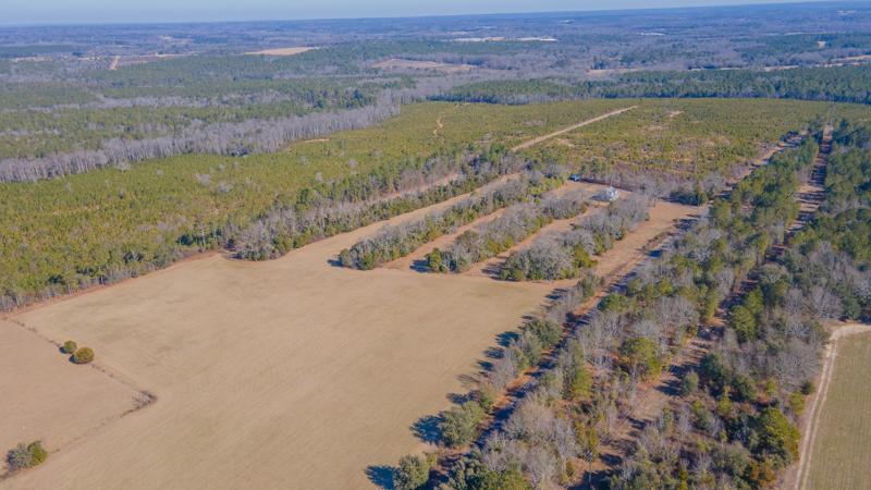 185 Peach Cider Road Batesburg, SC 29006 - Photo 54 of 65