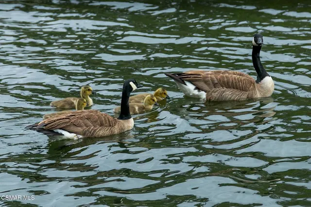 a backyard of a house