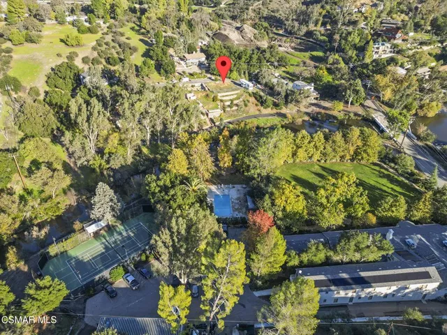 a view of a tree with a plant