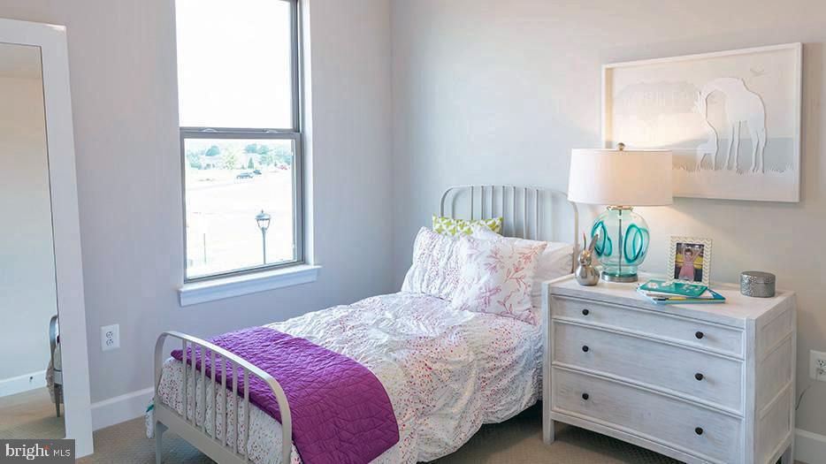 2333 Liberty Loop Herndon, VA 20171 - Photo 33 of 41 4th bedroom