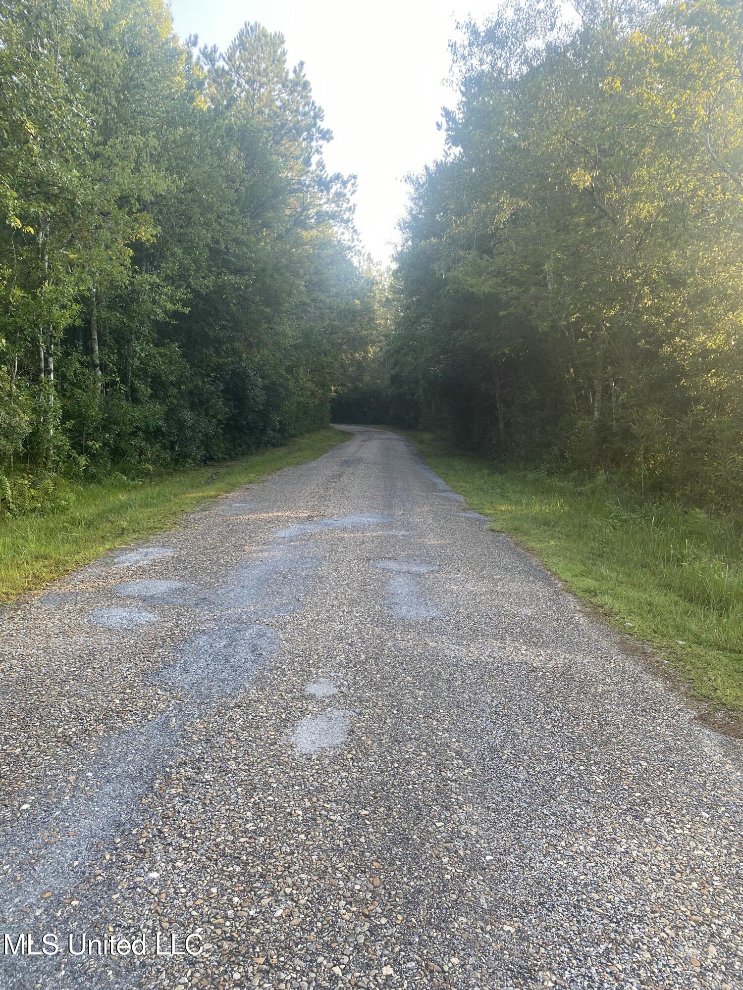 1 Kirby Creek Road Wiggins, MS 39577 - Photo 4 of 6 0118A4EA-FC1C-43D4-9C61-D4DFE63069DC