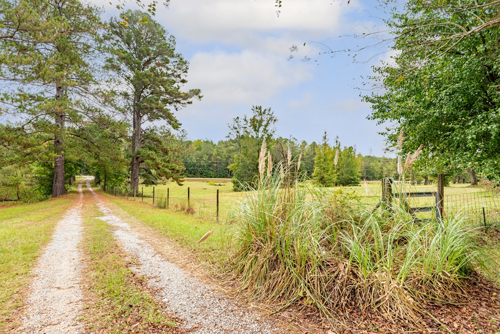 4508 Sandfort Road Seale, AL 36875 - Photo 5 of 61 Gallery Image 5