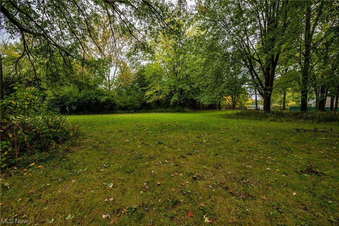 32051 Avon Road Avon, OH 44011 - Photo 29 of 32 View of yard