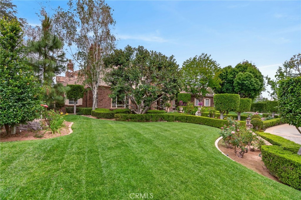 6952 Royal Hunt Ridge Drive Riverside, CA 92506 - Photo 9 of 75 a view of a garden with large trees