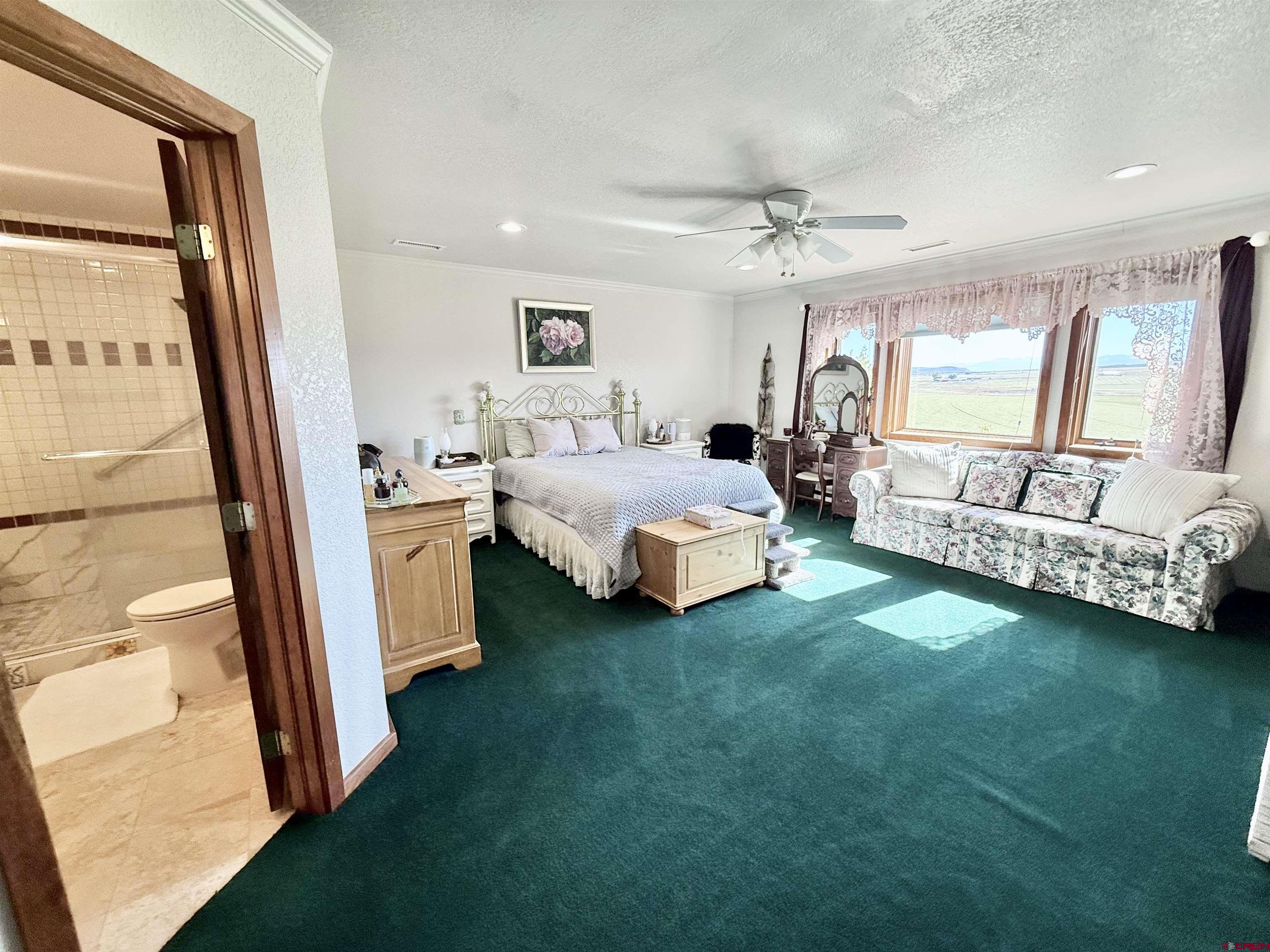 10528 Bostwick Park Road Montrose, CO 81401 - Photo 16 of 43 a room with a bed and a mirror