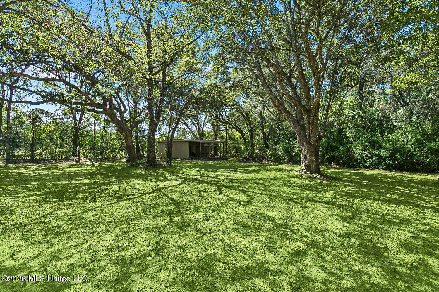 58 King Road Carriere, MS 39426 - Photo 21 of 36 21