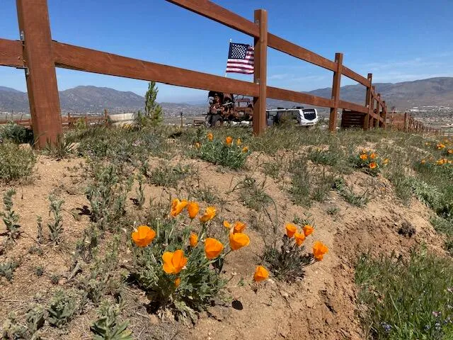 a view of lake and mountain