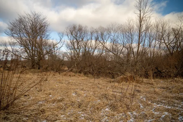 a view of empty yard with green space