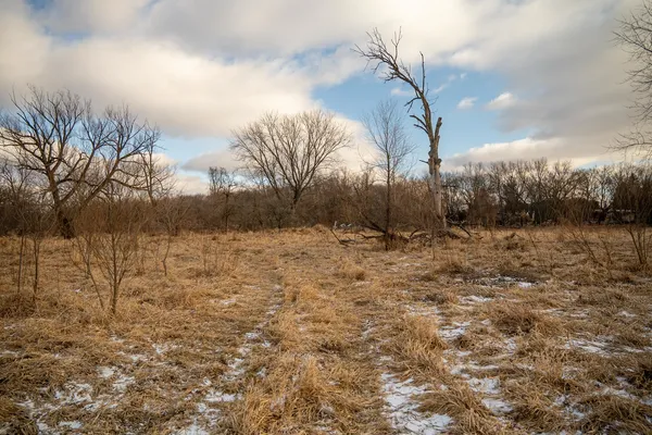 a row of yard