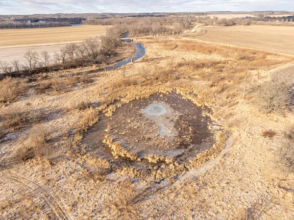a view of a dry yard with lots of trees