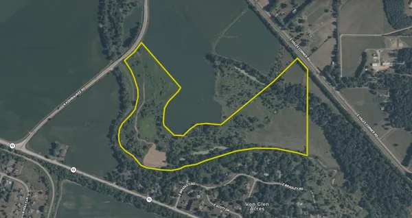 a map view of a tree