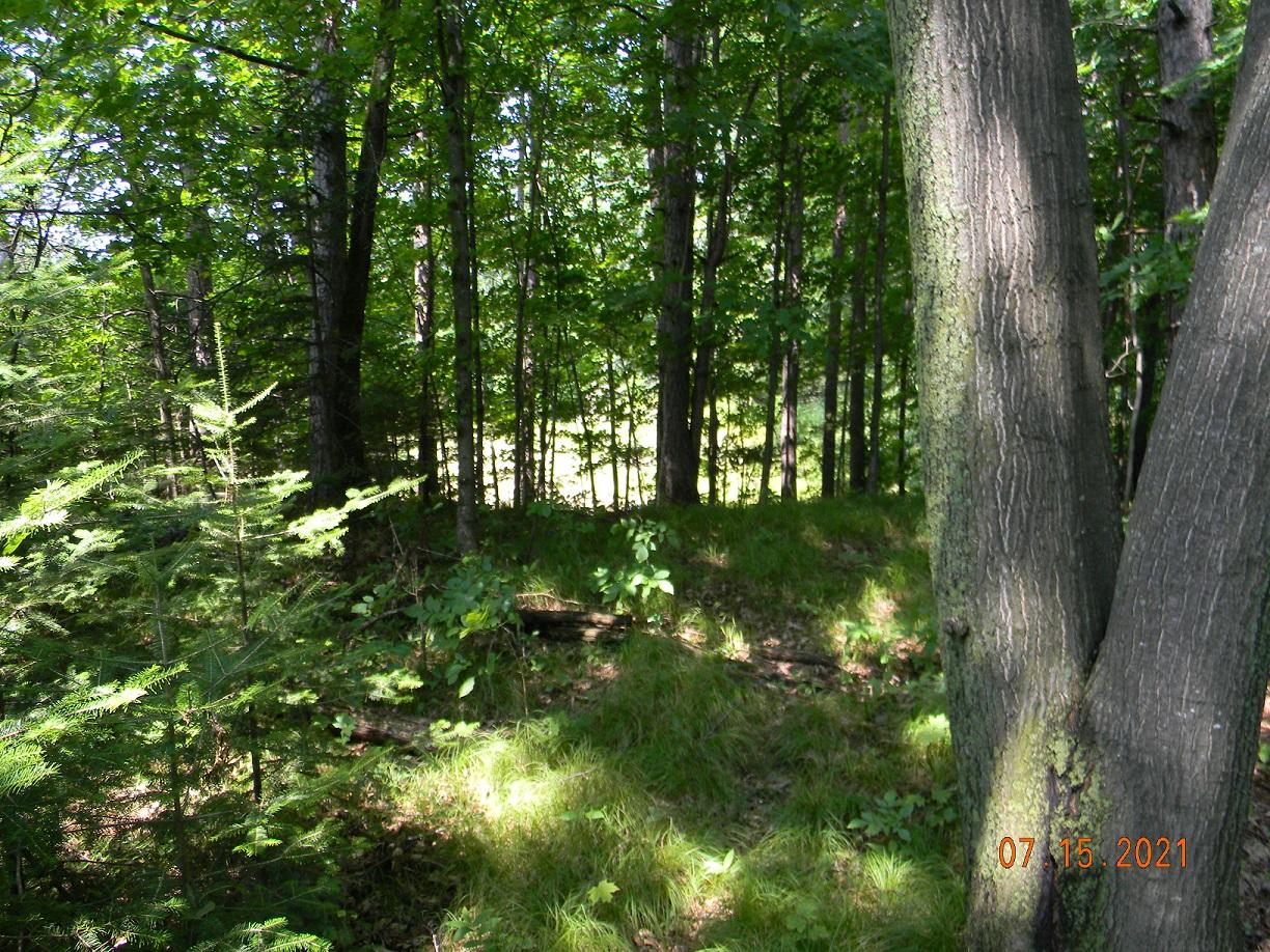 On On Cth F Antigo, WI 54409 - Photo 18 of 21 Gallery Image 18