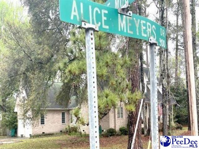 6 Alice Myers Road Olanta, SC 29114 - Photo 1 of 1 Gallery Image 1