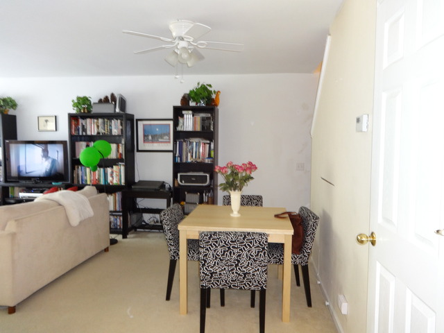 473 River Bend Road, Unit 115 Naperville, IL 60540 - Photo 3 of 6