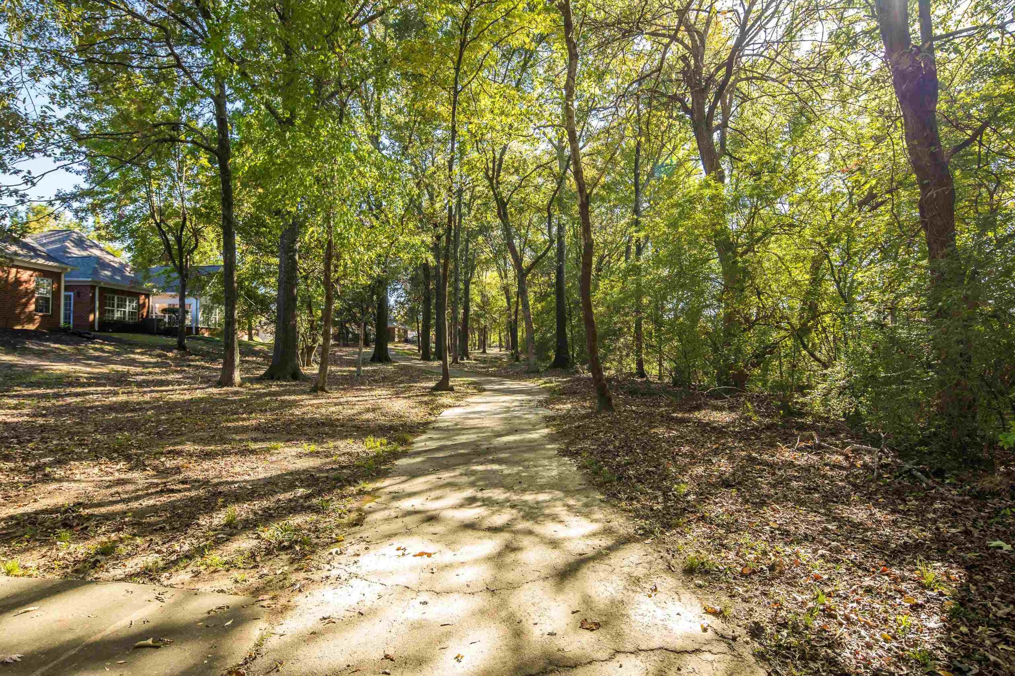 41 Peyton Ridge Drive, Unit 39 Collierville, TN 38017 - Photo 23 of 28 a view of outdoor space with trees