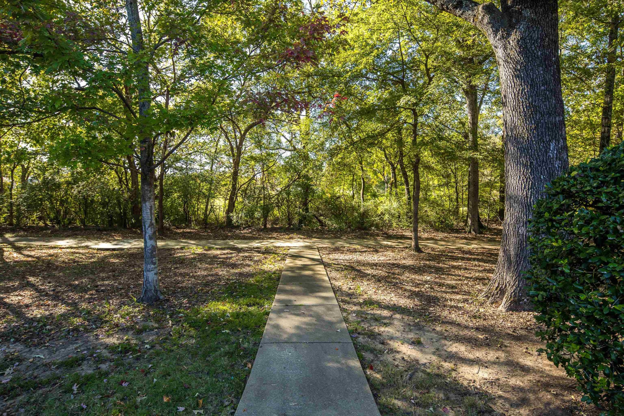 41 Peyton Ridge Drive, Unit 39 Collierville, TN 38017 - Photo 24 of 28 a view of a yard with plants and trees