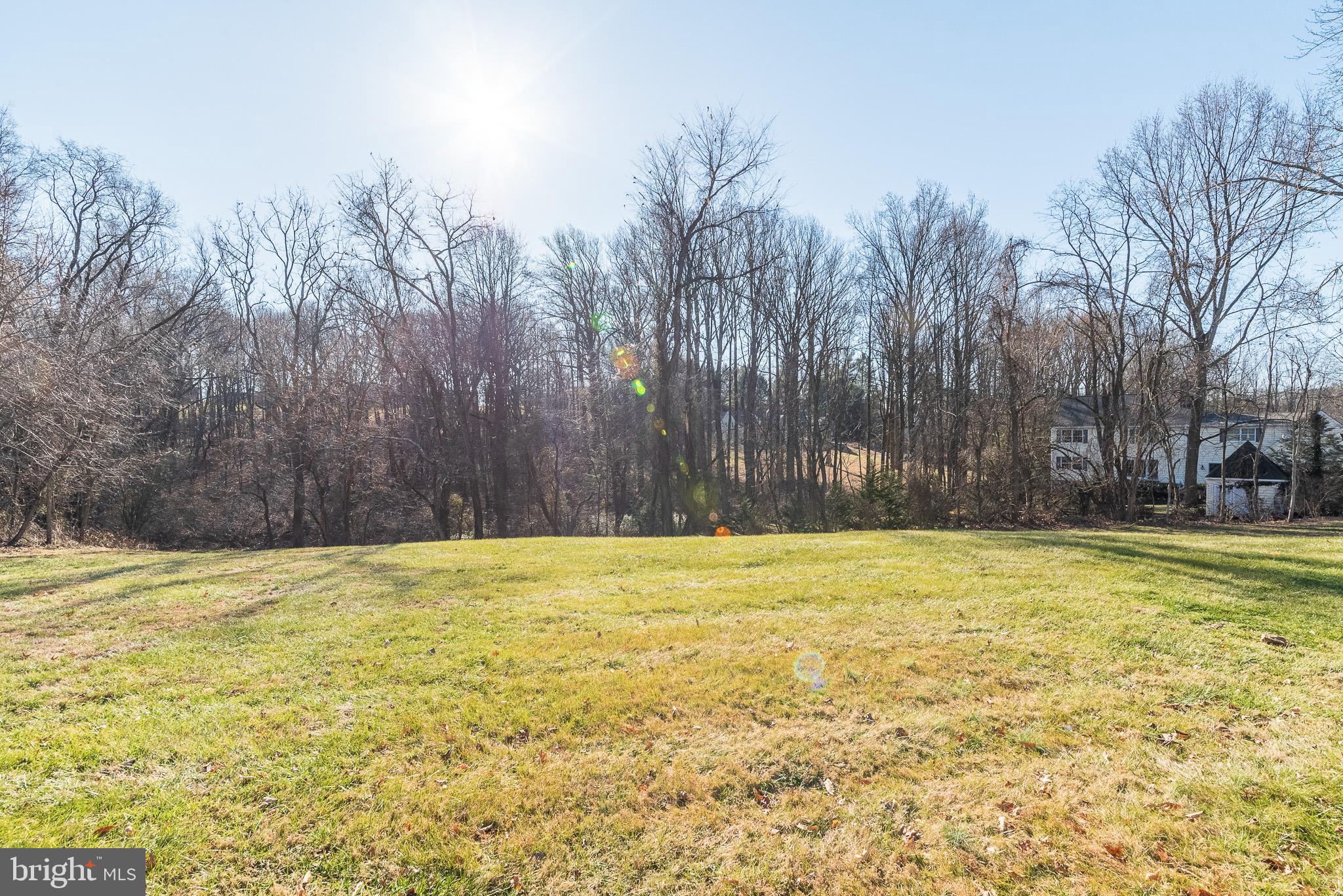 2703 Hunting Ridge Court Baldwin, MD 21013 - Photo 66 of 71 Spacious Yard Backing to Trees