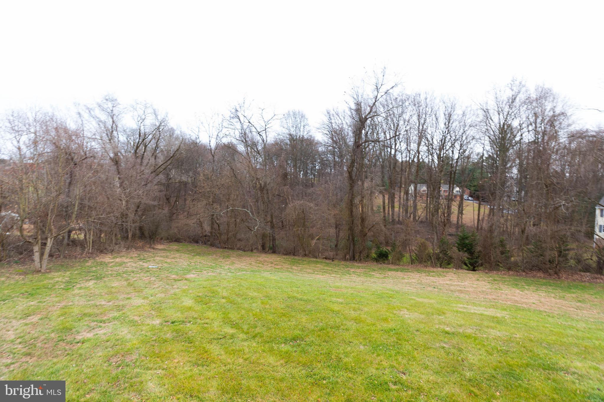 2703 Hunting Ridge Court Baldwin, MD 21013 - Photo 68 of 71 a view of a yard with trees in the background