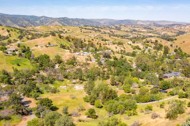 a view of a grassy field with trees