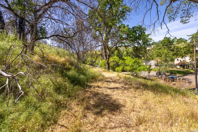 a view of a house with a lush green forest