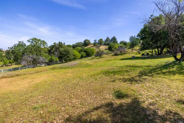 a view of an ocean and a yard