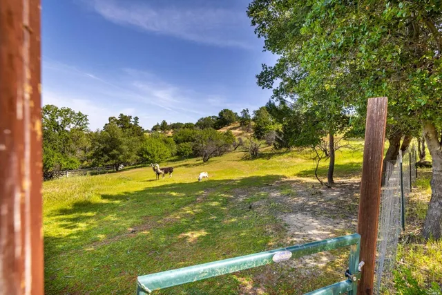a view of yard with green space