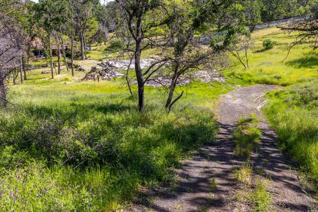 a view of a yard with a staircase