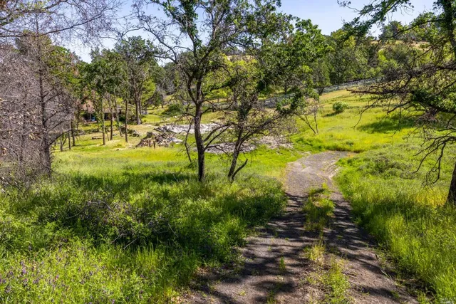 a view of a field with an ocean view