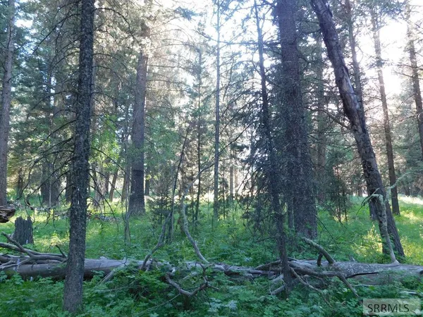 $398,000 | 4911 Shadow Wood Island Park, Island Park, ID 83429
