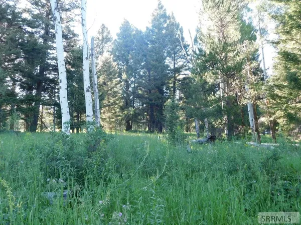 $398,000 | 4911 Shadow Wood Island Park, Island Park, ID 83429