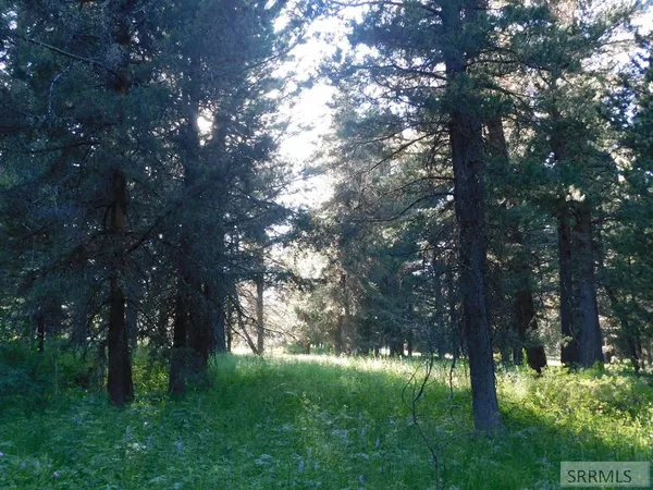 $398,000 | 4911 Shadow Wood Island Park, Island Park, ID 83429