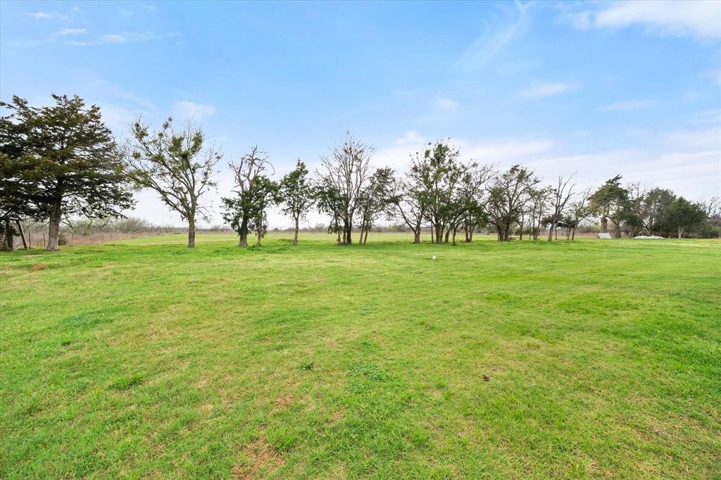 6771 Northwest County Road 1146 Barry, TX 75102 - Photo 29 of 34 a grassy field with trees in the background