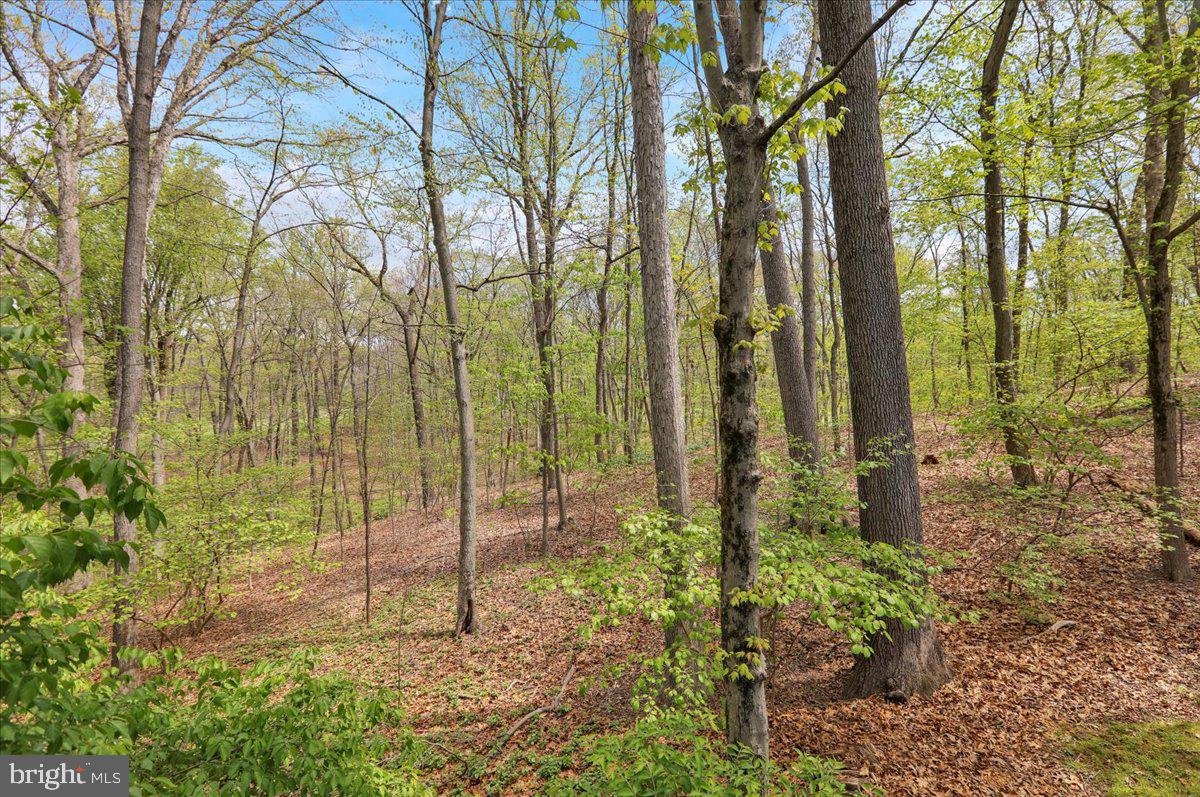13 Nassau Circle Reading, PA 19607 - Photo 9 of 54