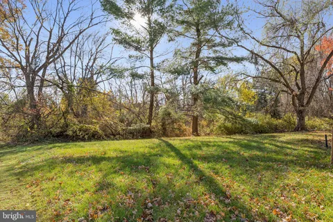 a view of a big yard with trees