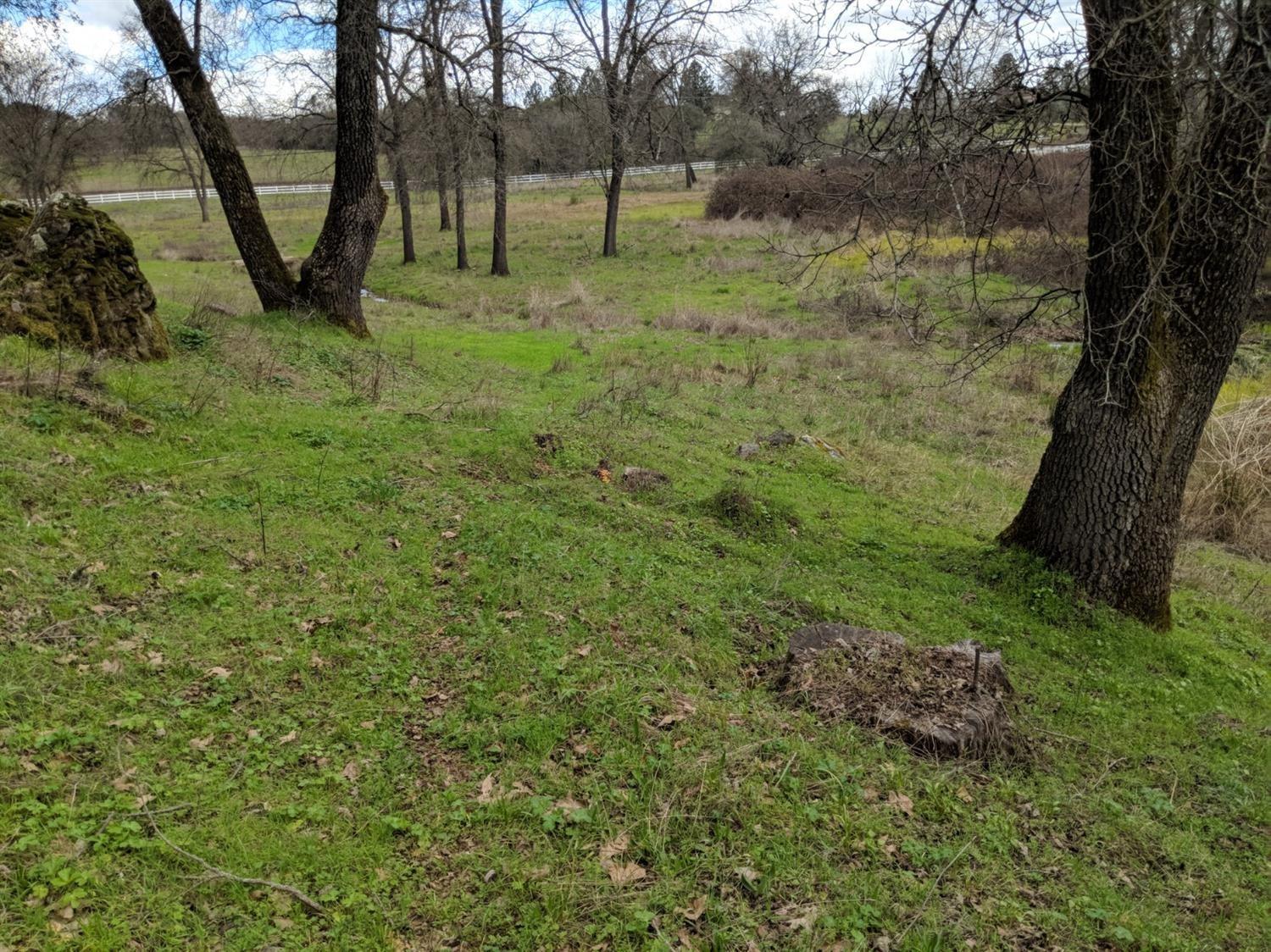 8100 Mt Aukum Road Somerset, CA 95684 - Photo 3 of 4 a view of backyard with green space