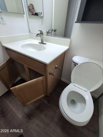 a bathroom with a sink a toilet and a mirror