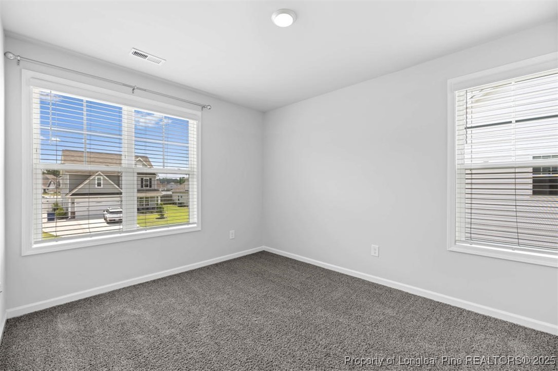 399 Springhaven Drive Raeford, NC 28376 - Photo 32 of 35 Gallery Image 32