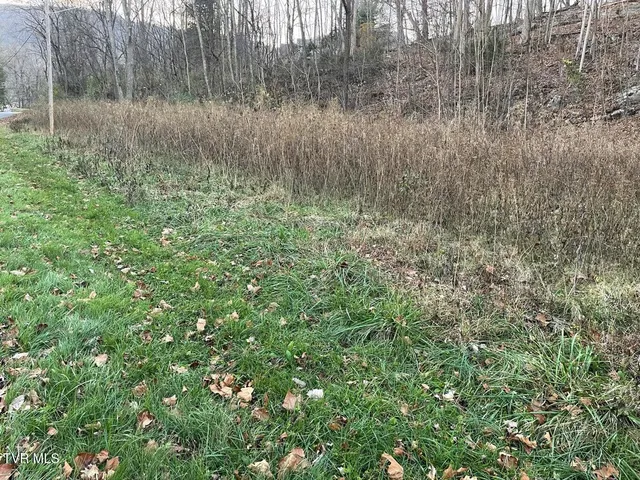 $39,900 | Tbd Greenbrook Circle, Unicoi, TN 37692