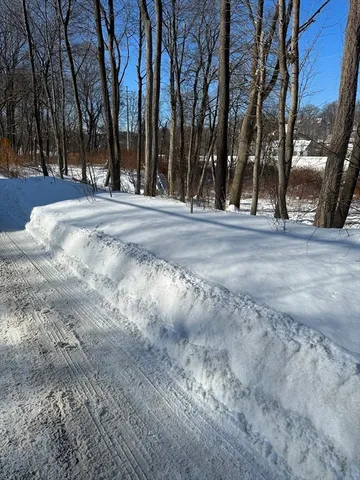 a view of empty room with tree s