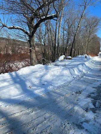 a view of road with large trees