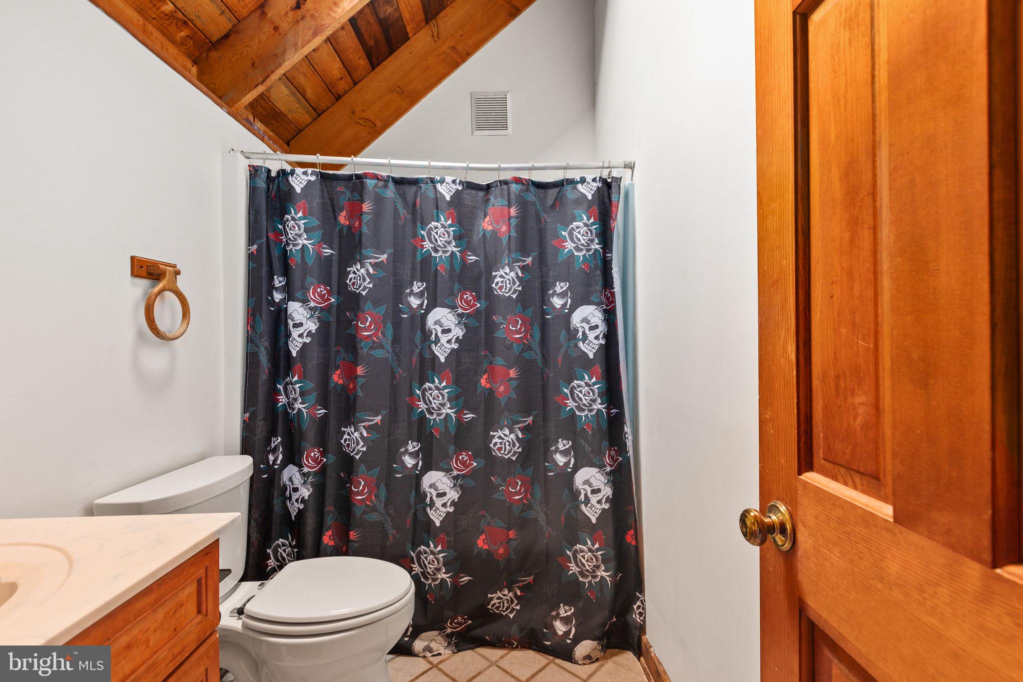 6119 Beach Road Midland, VA 22728 - Photo 47 of 98 a white toilet sitting next to a shower curtain