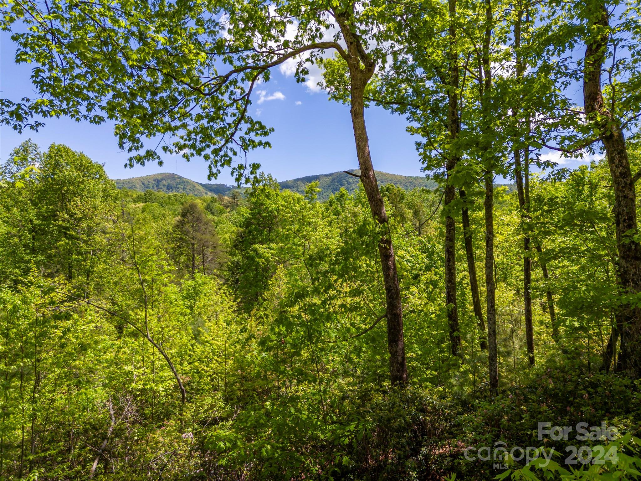 58 Next To The Last Road Saluda, NC 28773 - Photo 2 of 48 a backyard of a house with lots of green space and garden