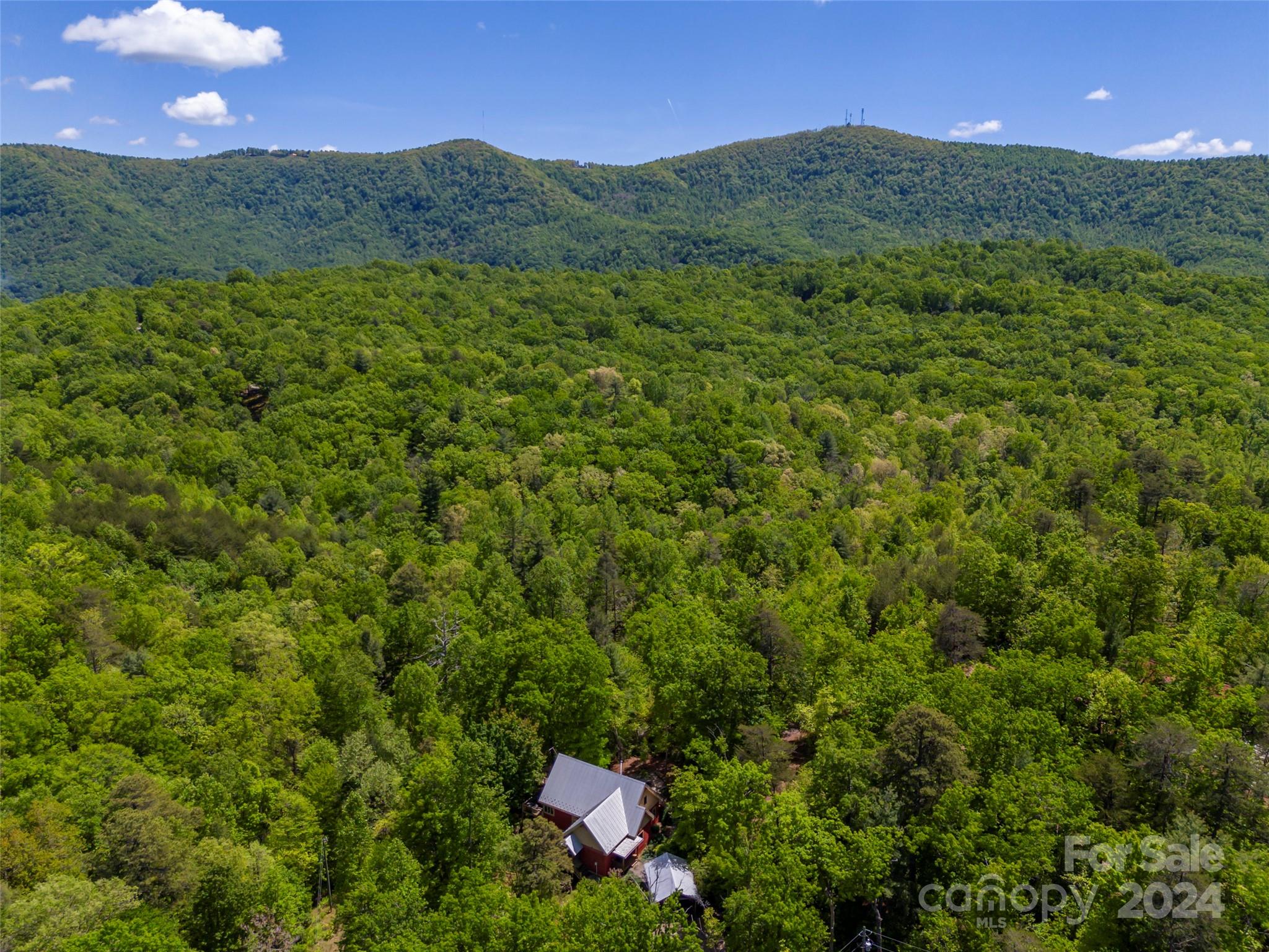 58 Next To The Last Road Saluda, NC 28773 - Photo 47 of 48 a view of a lush green forest with a house